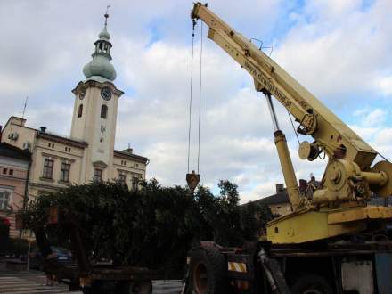 Bożonarodzeniowa choinka